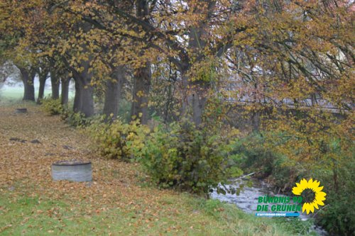 rodgau_10_20091231_1330334810