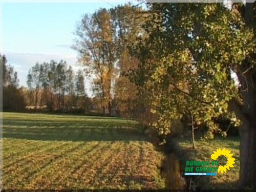rodgau_1_20091231_1246998535