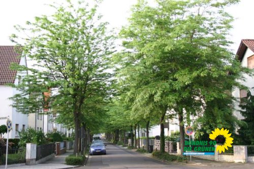 rodgau_1_20091231_1889695875